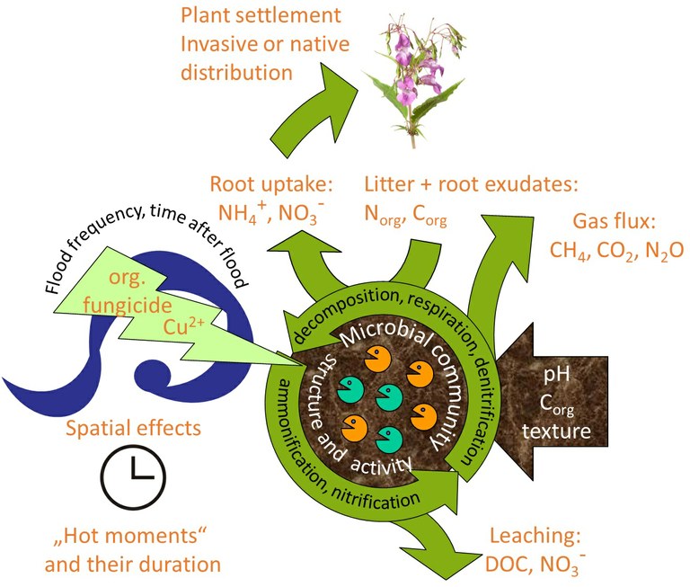 35b6ac11-c547-4218-8802-3002edf135f7