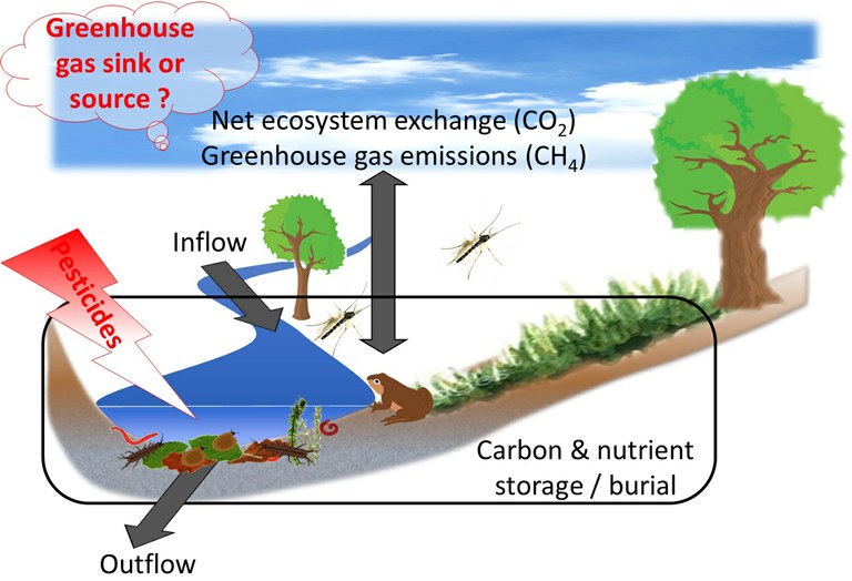 ffa1e5c6-bb11-4453-bb58-276b944c2f55