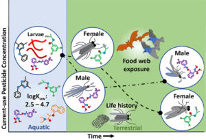 Abstract20april2022_bearb