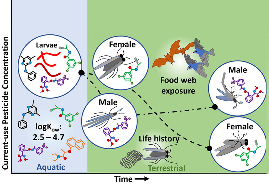 Abstract20april2022_bearb